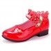 Girl Sweet Lace Pearl Hot Diamond Princess Shoes